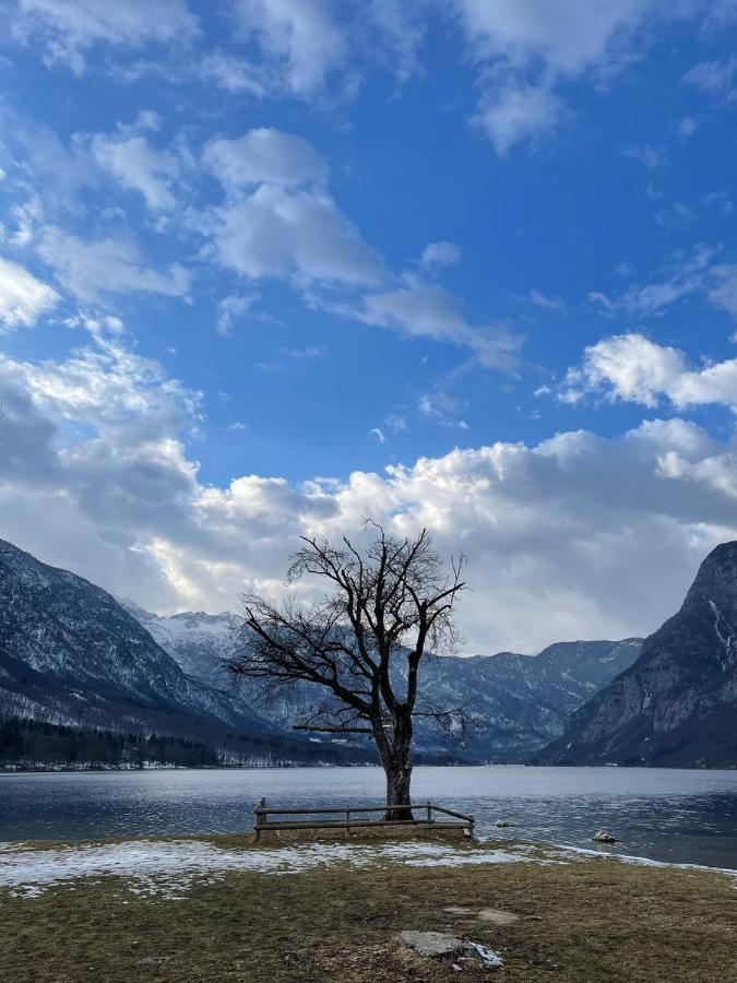 Remarkable Home Bohinj Lake Buitenkant foto